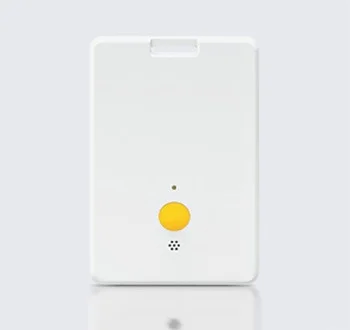 card-type-ge-bt1000-g-rtls-tag-1-gecolen.com